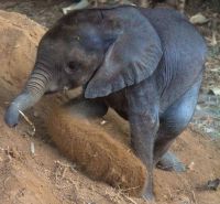 Moyo recently playing in the sand